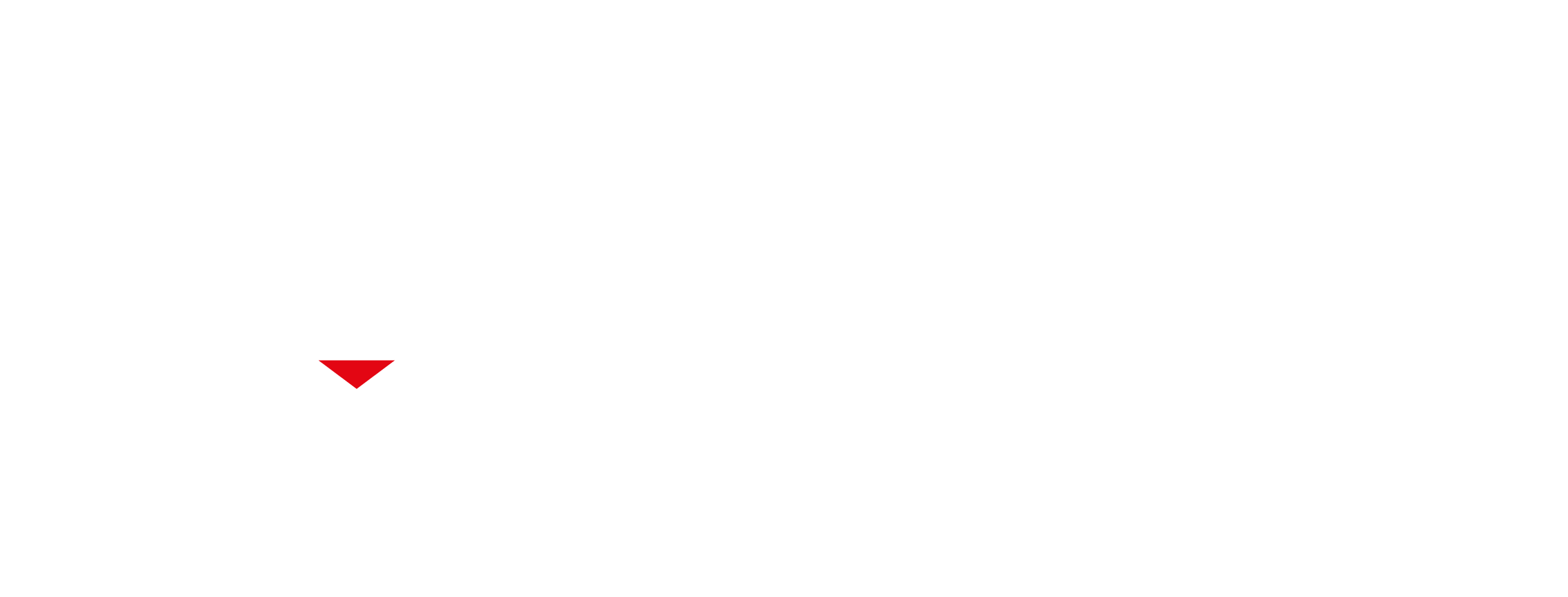 logo-white